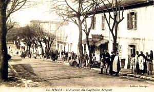 1459- El-Milia - Avenue du Capitaine Sergent